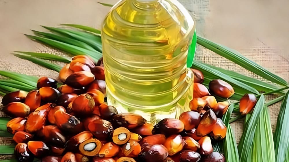 Imports of Palm Oil in India Increased 29% to 1.14 mt in November