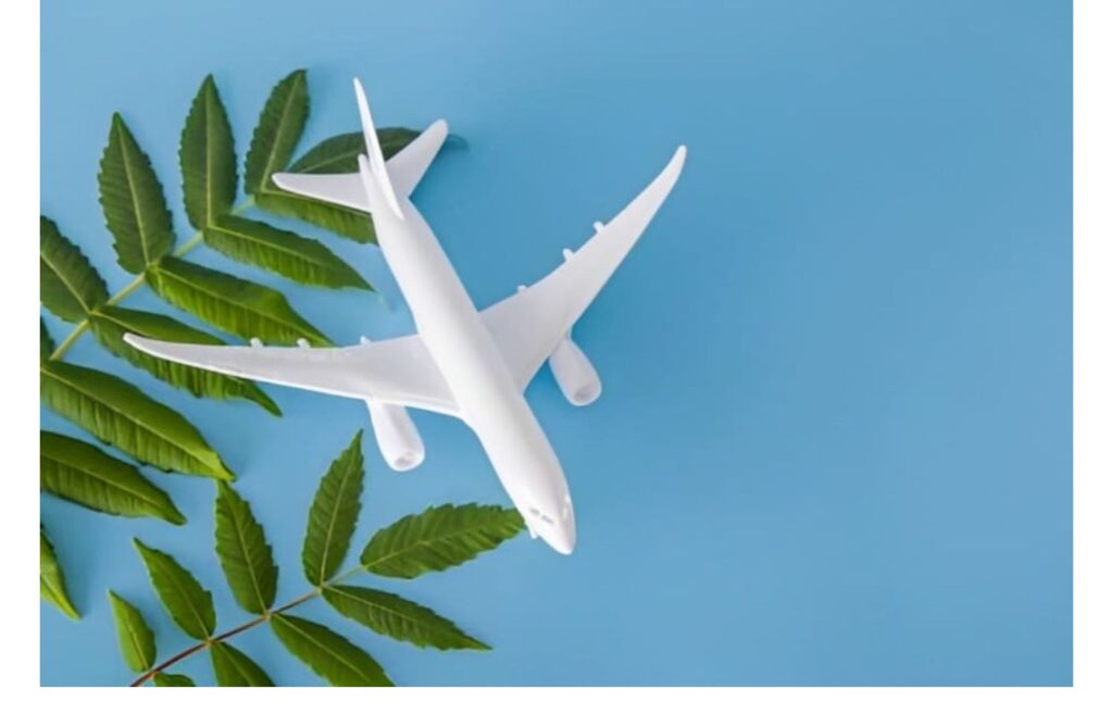 Civil Aviation Promotes Sustainable Initiatives, Sustainable Aviation Fuel