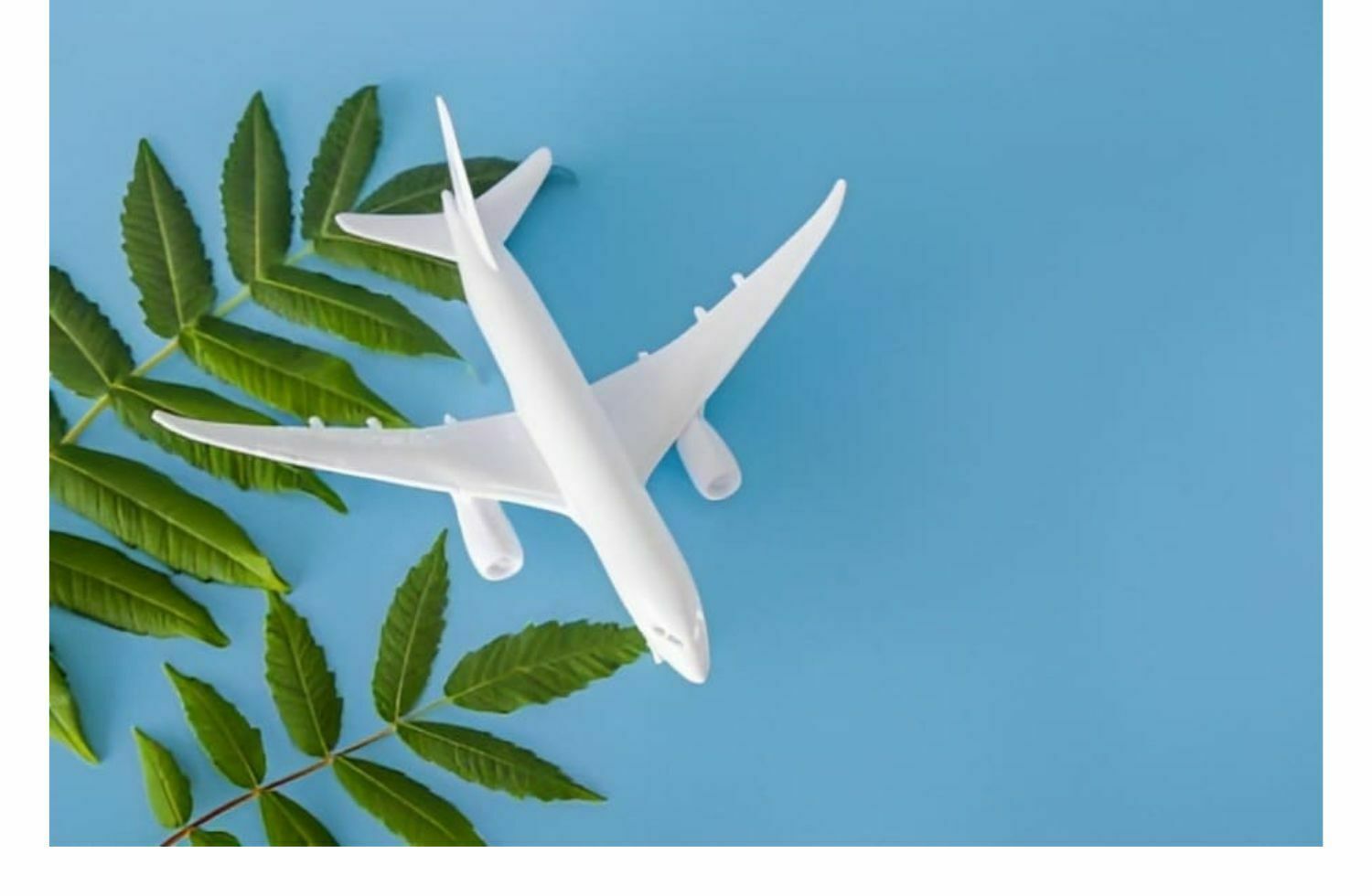 civil-aviation-promotes-sustainable-initiatives-sustainable-aviation-fuel