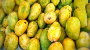 Mango shipments are expected to increase this year on Bangladeshi air freight carriers