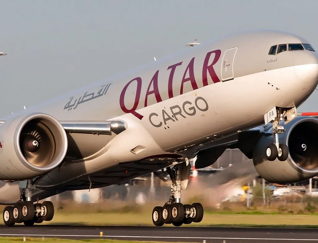 Qatar Airways Cargo & ADI rescue Lonely Lion Ruben in extraordinary journey