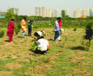 Greening Tomorrow: The Sustainable Alliance of CMA CGM and Give Me Trees Trust