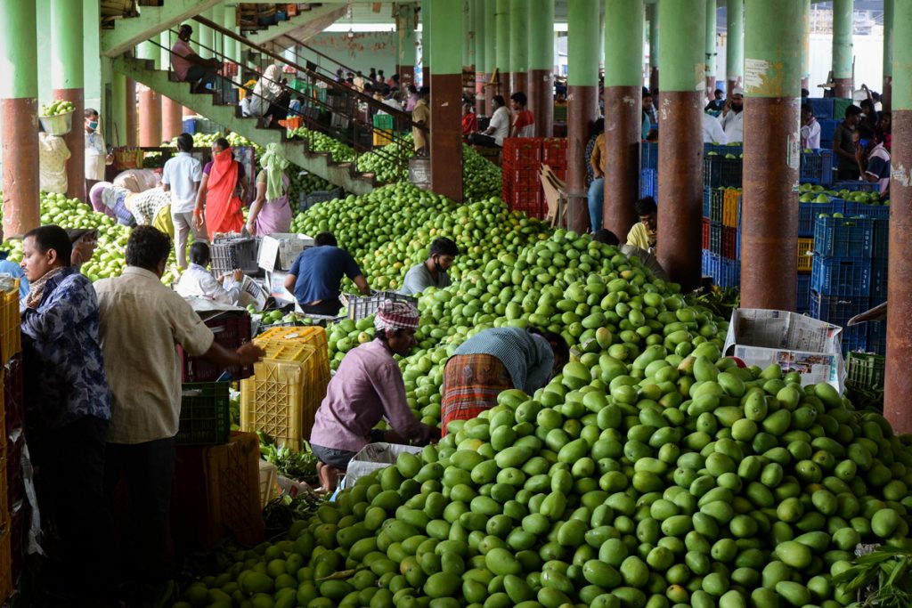 APEDAs strategic initiatives boost agricultural exports to diverse markets