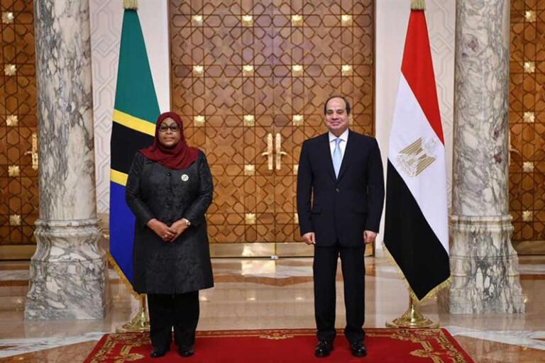 Egypt unveils plan for logistics corridor linking Tanzania to Rwanda