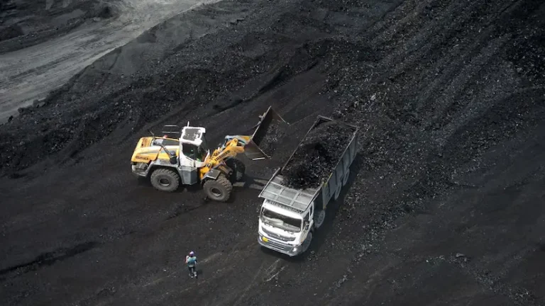 Coal import share drops to 21 percent