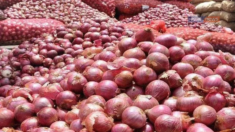 Indian Govt lifts onion export ban ahead of Nashik polls