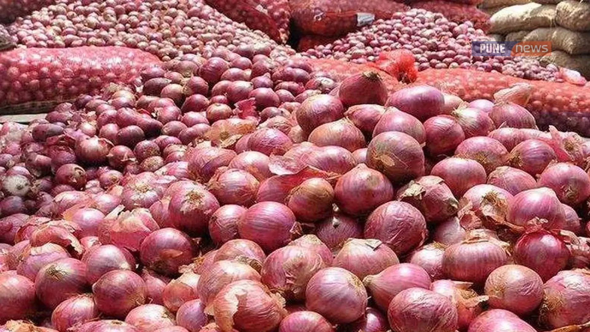 Indian Govt lifts onion export ban ahead of Nashik polls