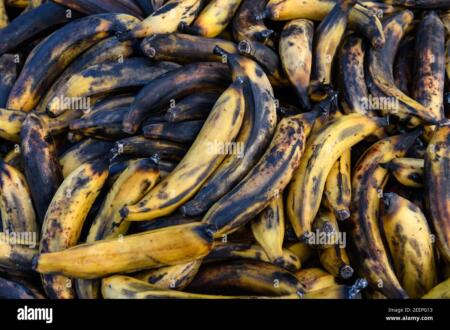 India's heat wave worsens Banana spoilage, highlighting infrastructure gaps