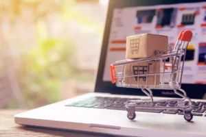 India to establish designated e-Commerce hubs to boost online export shipments