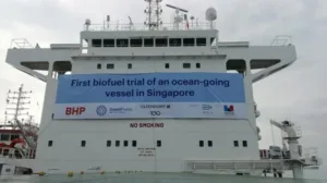 Singapore's maritime centre concludes final marine biofuels trial