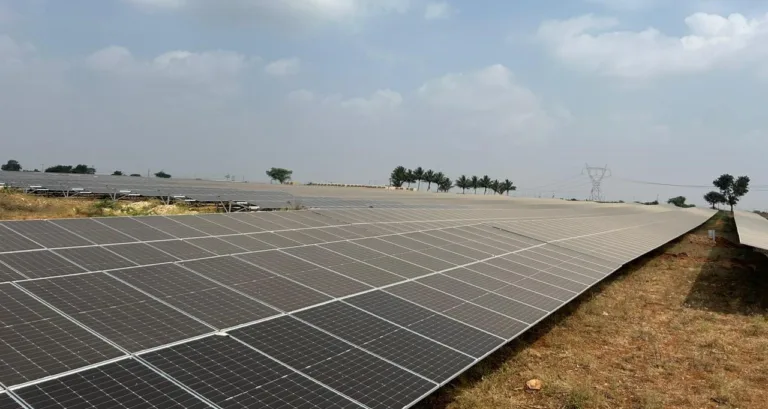 APM Terminals Mumbai transitions to 80% renewable electricity with solar plant