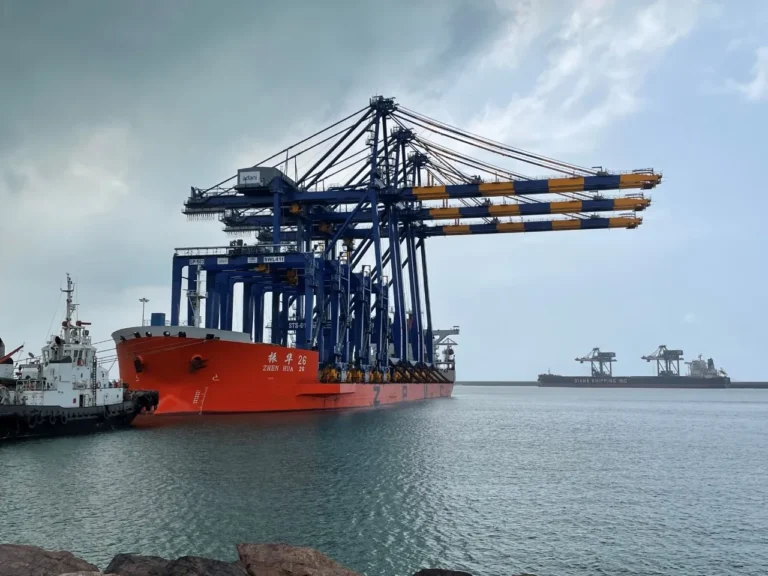 Adani Gangavaram port sets new timber handling record, boosting efficiency