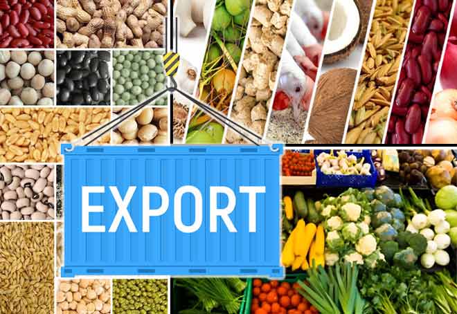 India aims for 40% growth in processed food exports in 3-4 years