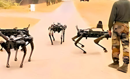 Indian Army introduces robotic dogs to revolutionise logistics