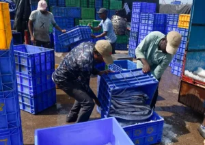 Budget 2025-26: Major boost for EXIM in fisheries sector