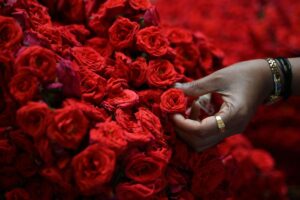 Bengaluru airport handles 44 mn roses for Valentine’s