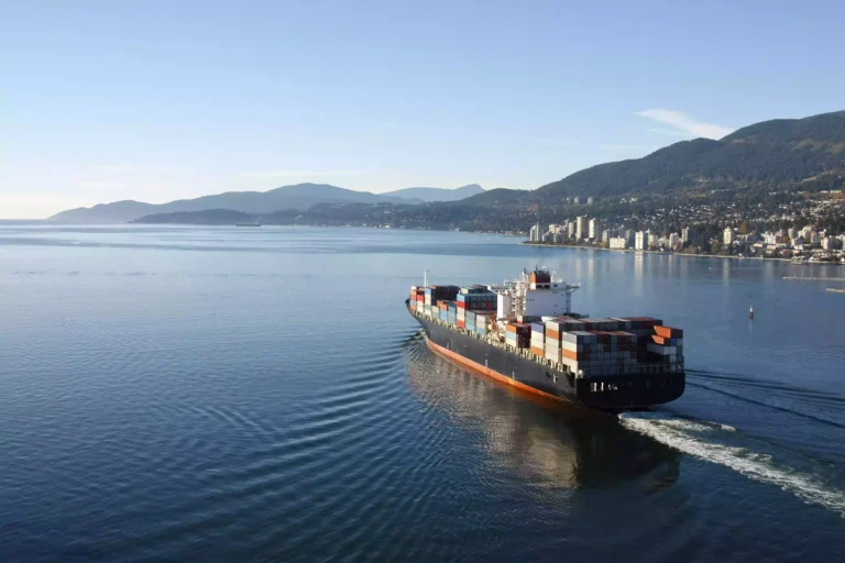 India plans first national container shipping line for global trade