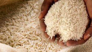 Indian rice export prices rise as global demand shows recovery