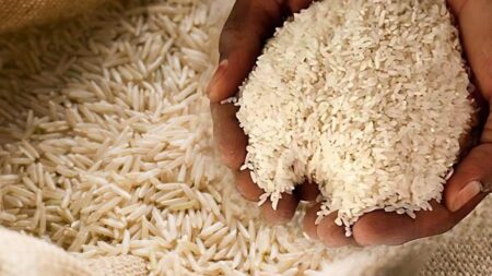 Indian rice export prices rise as global demand shows recovery