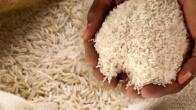 Indian rice export prices rise as global demand shows recovery