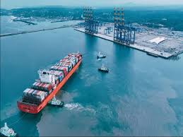Vizhinjam Port handles 400 vessels in a year, sets record on southeast coast