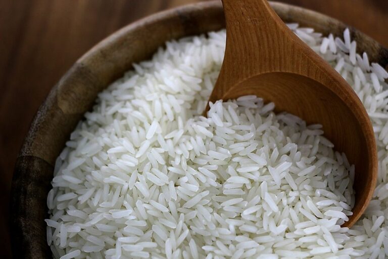 India seeks to boost rice exports to Philippines, the top importer