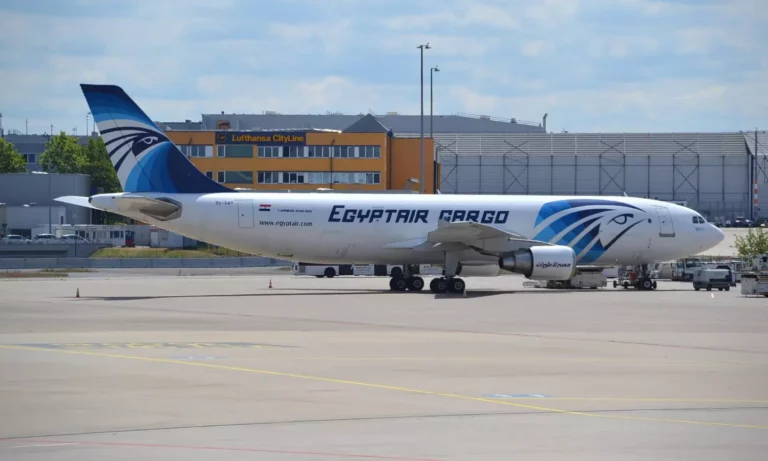 EgyptAir Cargo adopts Cargo Flash’s ICMS to boost operations