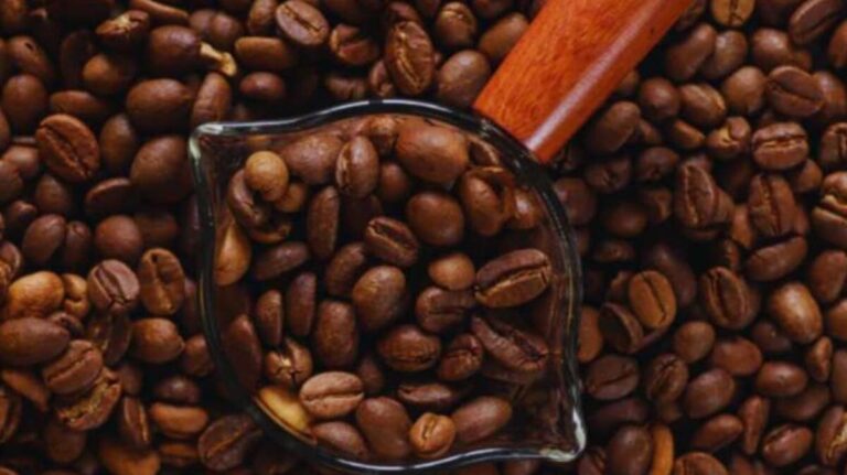 India eyes premium EFTA markets as coffee exports double in recent years