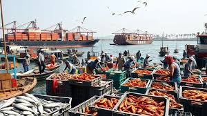 India’s seafood exports grow 6% despite US penalty tax, says Union Minister