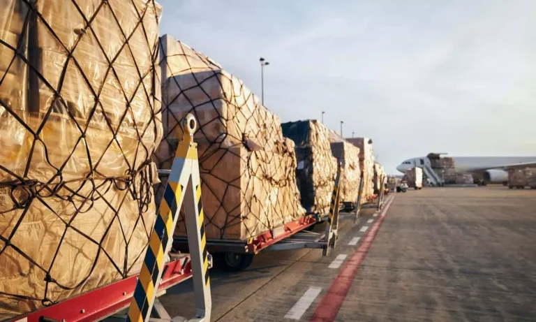 Allcargo Terminals reports strong Q2FY26 growth with higher EBITDA and volumes Allcargo Terminals reports strong Q2FY26 growth with higher EBITDA and volumes