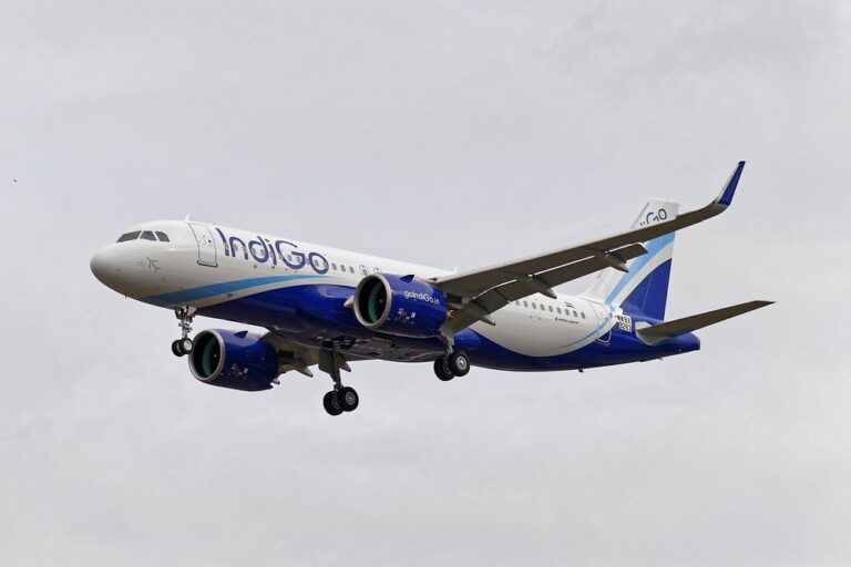 Airlines warned: IndiGo's chaos proves system balance must beat overload