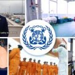 IMO launches 2026–27 global drive to turn maritime rules into action