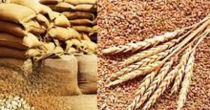 Govt clears 25 LMT wheat, 5 LMT wheat products export; sugar quota raised
