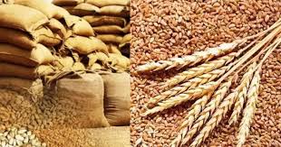 Govt clears 25 LMT wheat, 5 LMT wheat products export; sugar quota raised