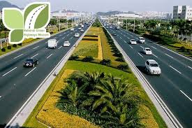 NHAI to roll out ‘Bee Corridors’ along national highways for eco sustainability