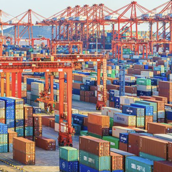 Gulf Crisis has put Indian cargo into freefall