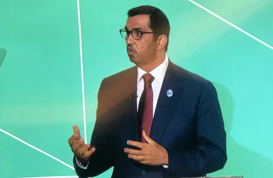 ADNOC CEO Calls Hormuz Blockade Economic Terrorism