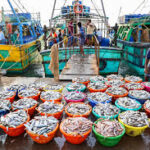 India’s Seafood Exports Hit a Record Rs 72,000 Crore