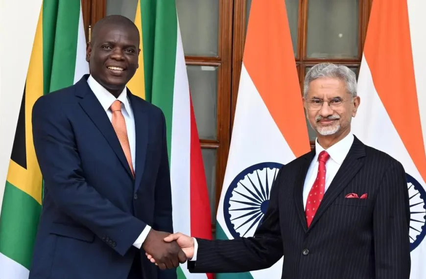 India and South Africa discuss MSME ties