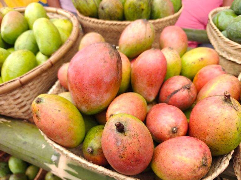 MP's GI-Tagged Rewa Sundarja Mango Makes UAE Export Debut