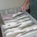 Department of Commerce  hosts TEPA seafood workshop