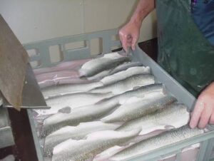 Department of Commerce  hosts TEPA seafood workshop