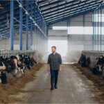 Government expands dairy, livestock support