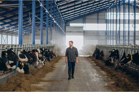 Government expands dairy, livestock support