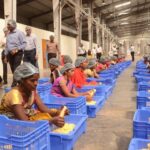 Food processing PLI attracts ₹9,207 crore