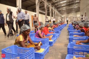  Food processing PLI attracts ₹9,207 crore