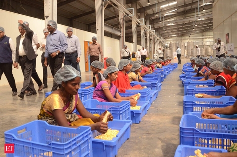  Food processing PLI attracts ₹9,207 crore
