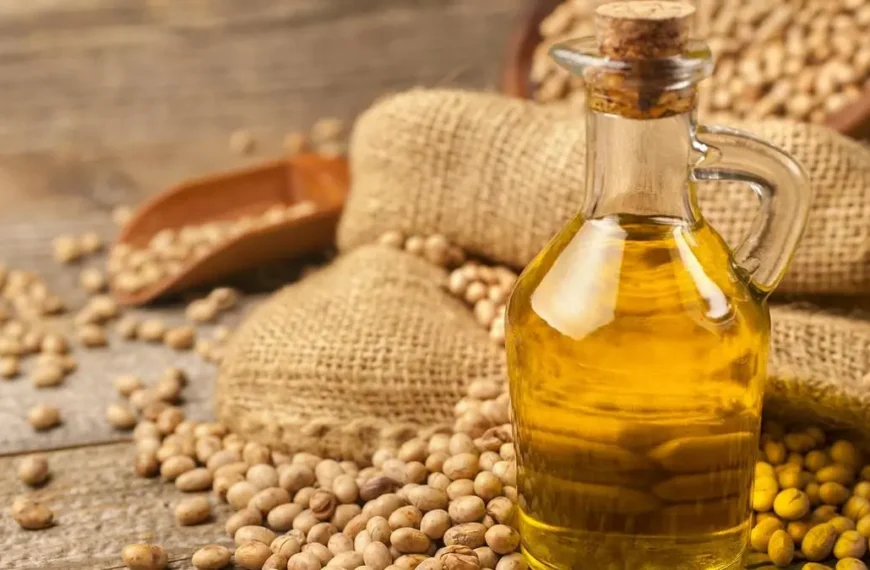 India’s Soyoil Imports Set to Hit Record High in August