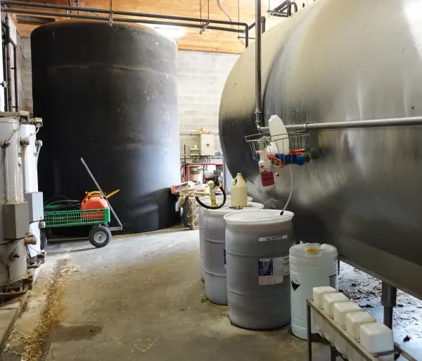 US Tariffs Squeeze Canadian Dairy Farmers and Supply Chains