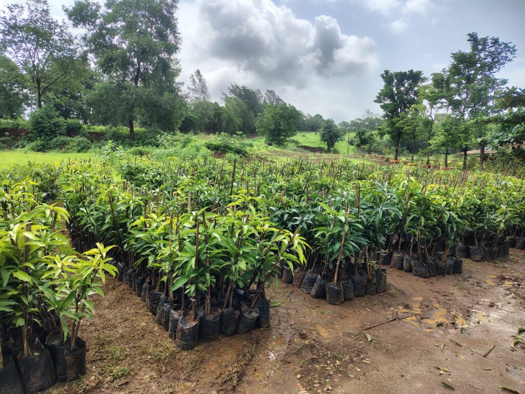 Allcargo Scales Project Maitree to 81 Villages